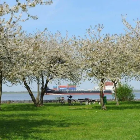 Bluetenzauber No 4 Mittelnkirchen