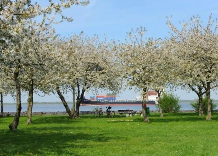 Bluetenzauber No 4 Mittelnkirchen